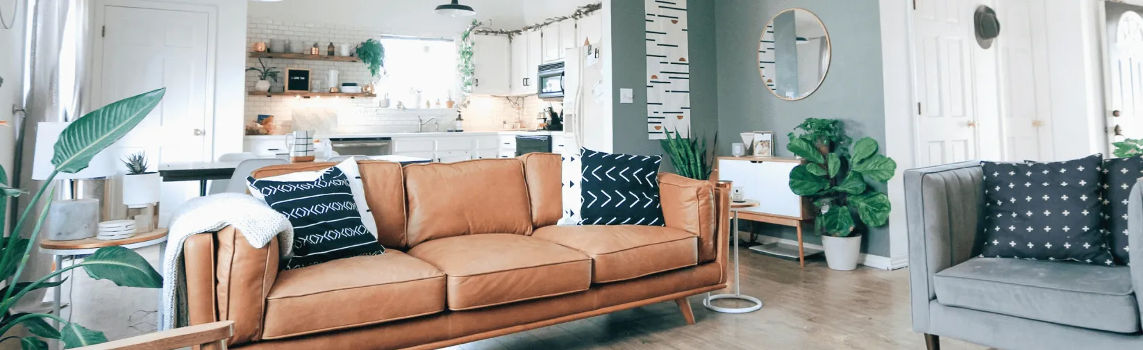 Photo d'animaux de compagnies