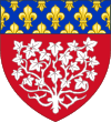 Blason de la ville Amiens